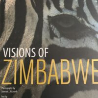 Visions Of Zimbabwe House Of Books
