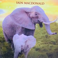 Cleopatra's Journey - House Of Books Zimabwe